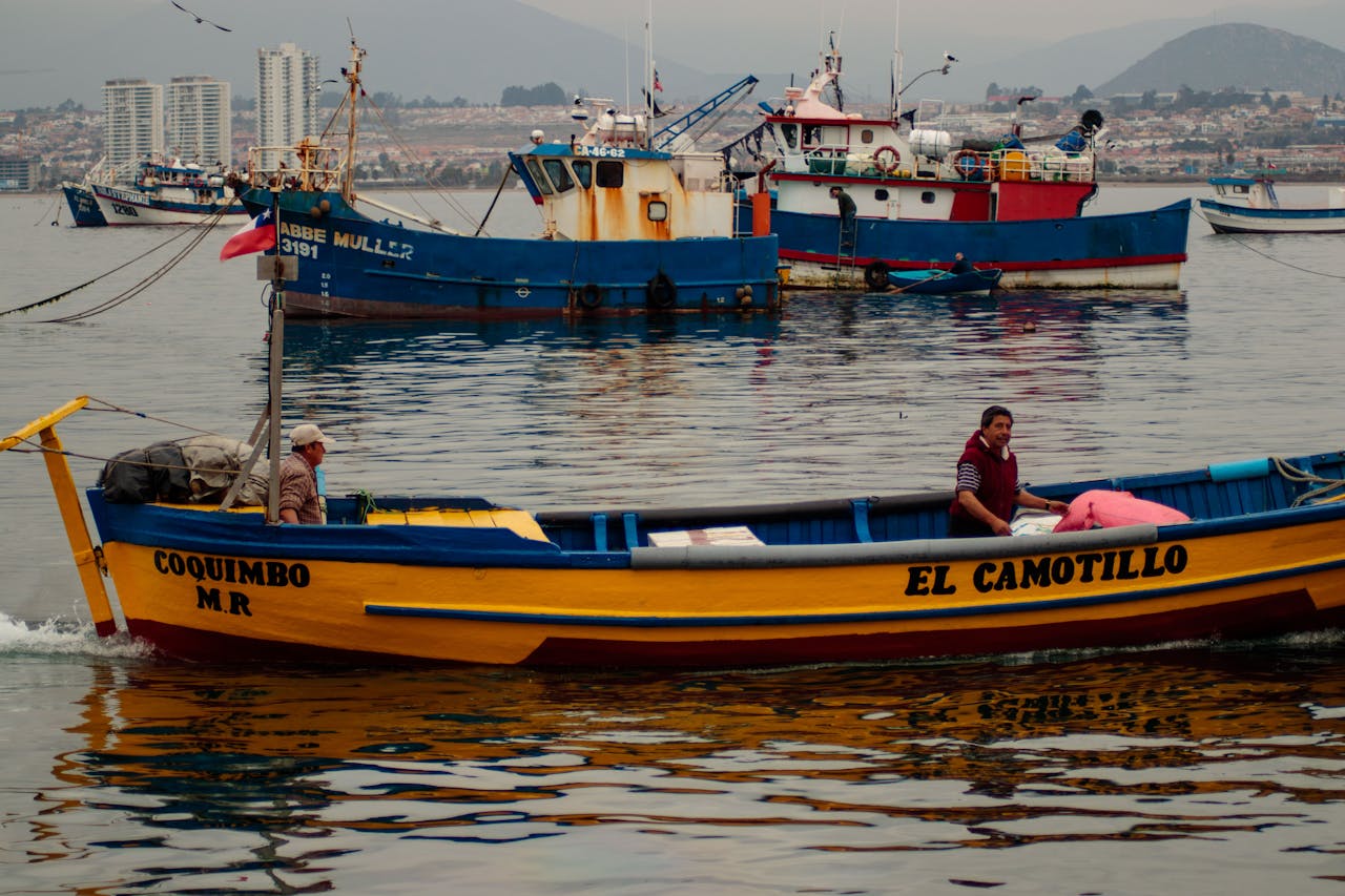 Colorful fishing boats in Coquimbo harbor, Chile, depicting local fishermen at work.